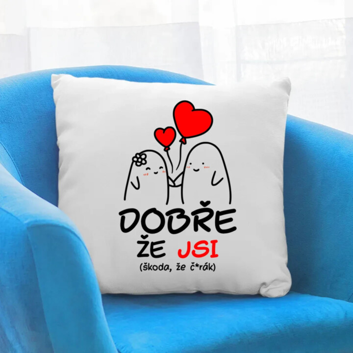 Dobře, že jsi - škoda, že č*rák - polštář s potiskem