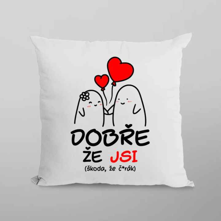 Dobře, že jsi - škoda, že č*rák - polštář s potiskem