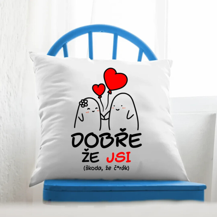 Dobře, že jsi - škoda, že č*rák - polštář s potiskem