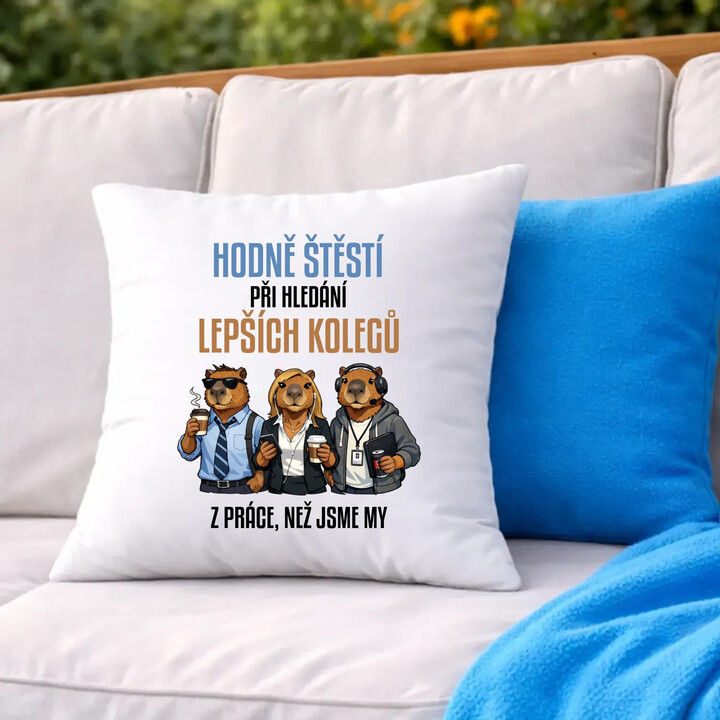 Hodně štěstí při hledání lepších kolegů z práce - polštář s potiskem