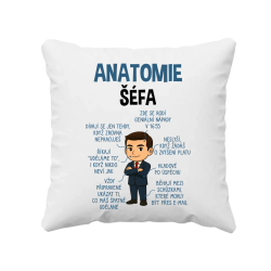 Anatomie šéfa  - polštář s potiskem