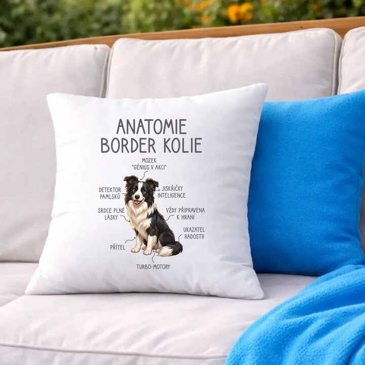 Anatomie border kolie - polštář s potiskem