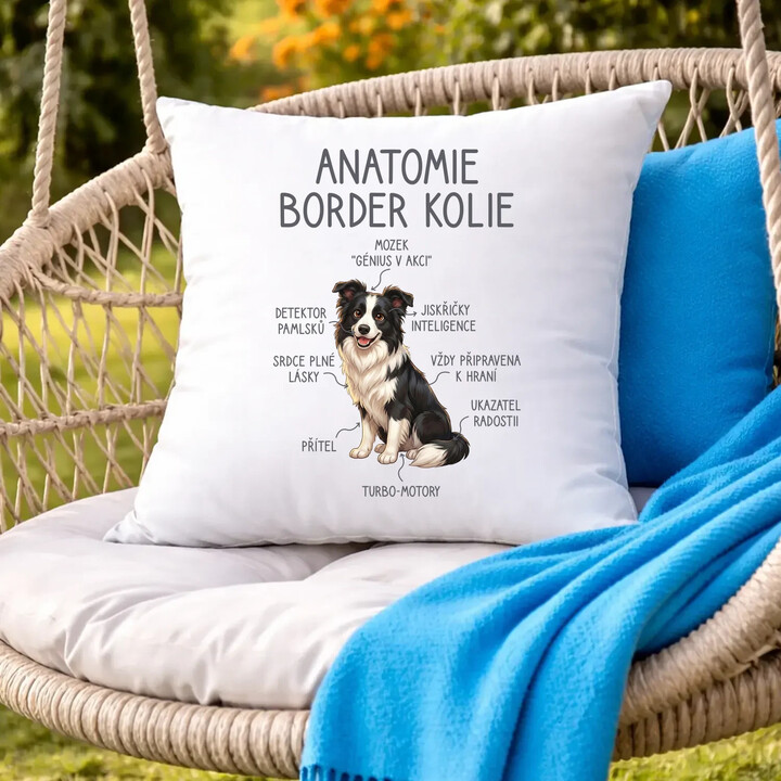 Anatomie border kolie - polštář s potiskem