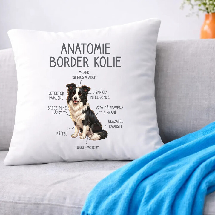 Anatomie border kolie - polštář s potiskem