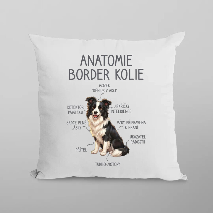 Anatomie border kolie - polštář s potiskem