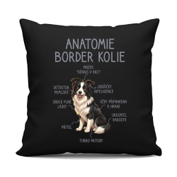 Anatomie border kolie - černý polštář s potiskem