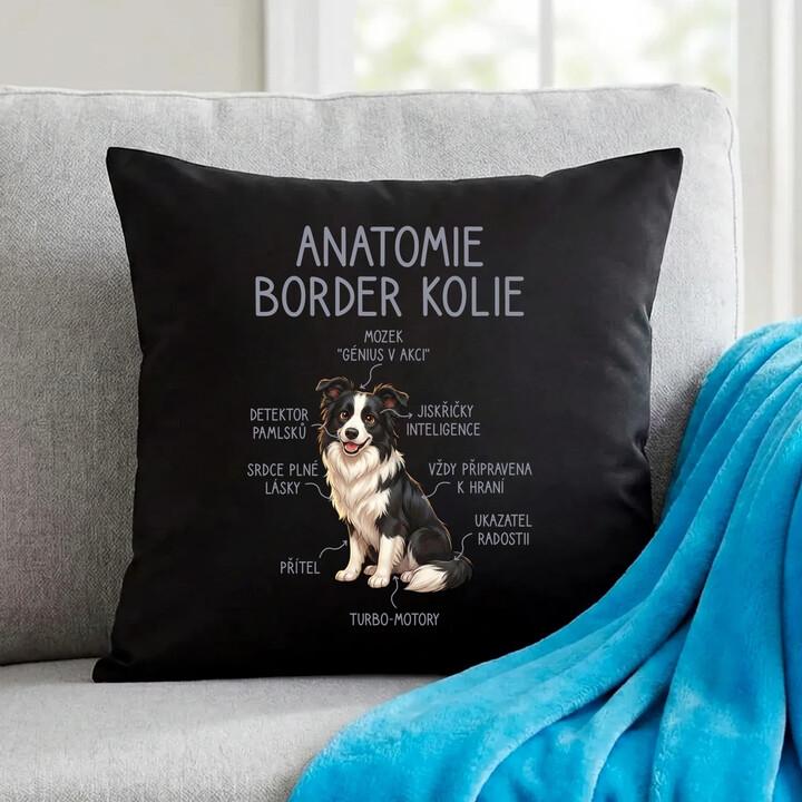 Anatomie border kolie - černý polštář s potiskem
