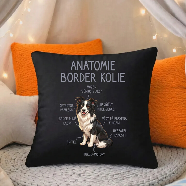 Anatomie border kolie - černý polštář s potiskem