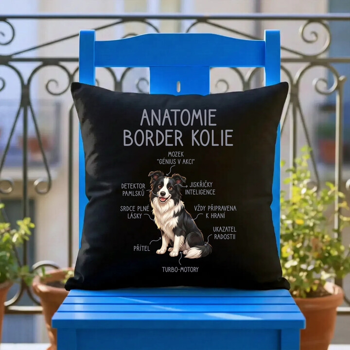 Anatomie border kolie - černý polštář s potiskem