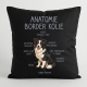 Anatomie border kolie - černý polštář s potiskem