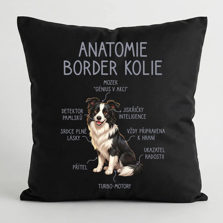 Anatomie border kolie - černý polštář s potiskem