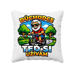 Důchodce. Teď si užívám - polštář s potiskem