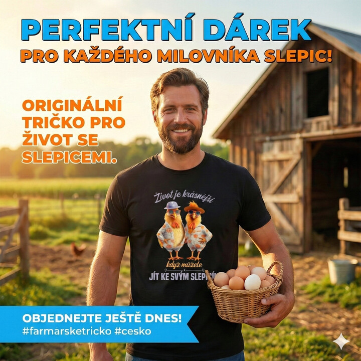 Život je krásnější, když můžete jít ke svým slepicím - pánské tričko s potiskem