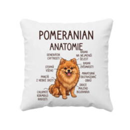 Pomeranian – anatomie - polštář s potiskem