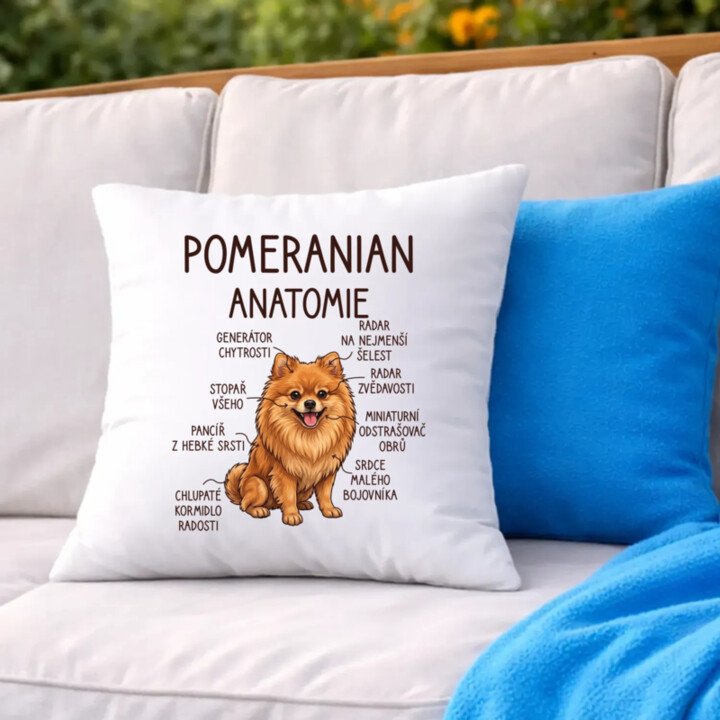 Pomeranian – anatomie - polštář s potiskem