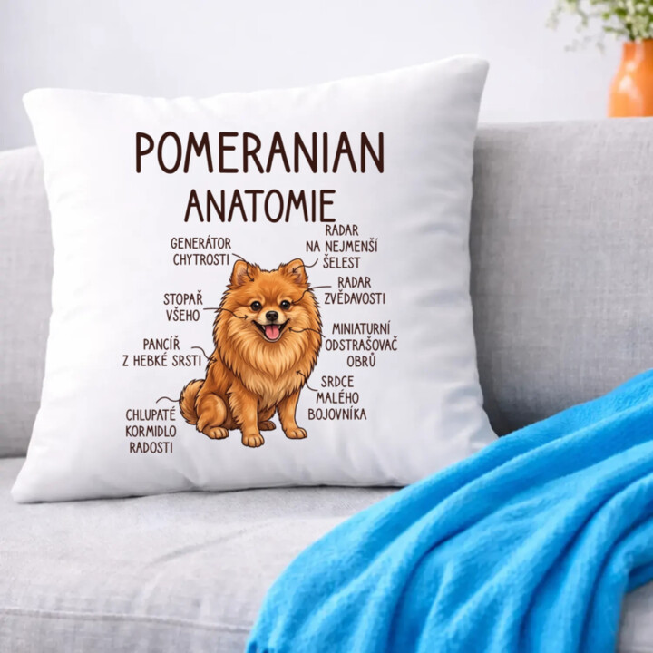 Pomeranian – anatomie - polštář s potiskem