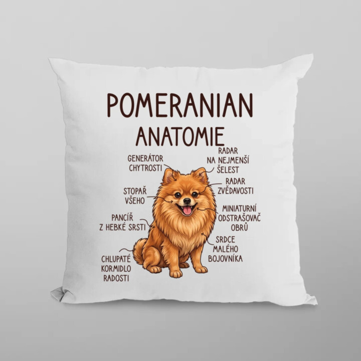 Pomeranian – anatomie - polštář s potiskem