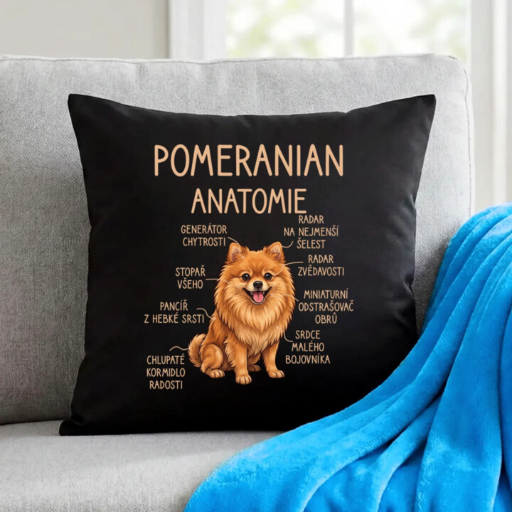 Pomeranian – anatomie - černý polštář s potiskem