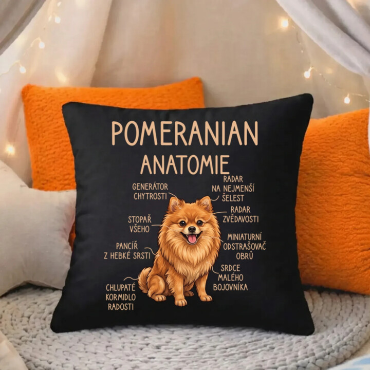 Pomeranian – anatomie - černý polštář s potiskem