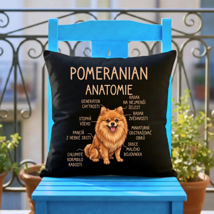 Pomeranian – anatomie - černý polštář s potiskem