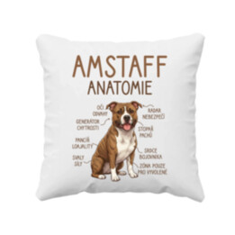 Amstaff – anatomie - polštář s potiskem