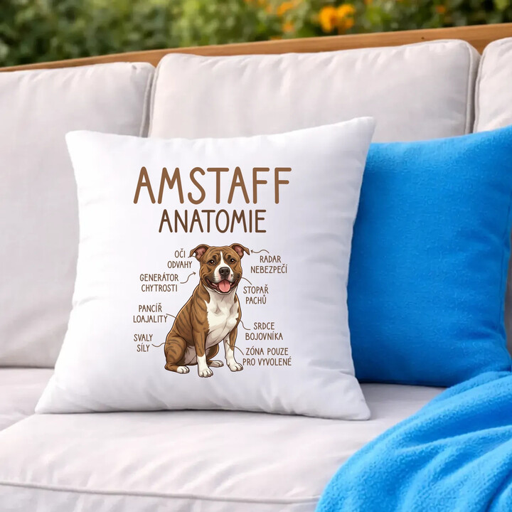 Amstaff - anatomie - polštář s potiskem