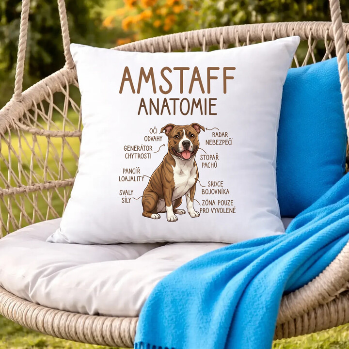 Amstaff - anatomie - polštář s potiskem