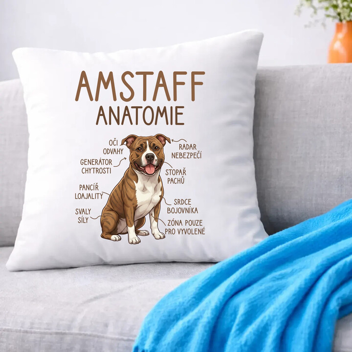 Amstaff - anatomie - polštář s potiskem