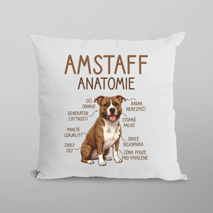 Amstaff - anatomie - polštář s potiskem