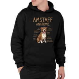 Amstaff – anatomie - pánská mikina s potiskem