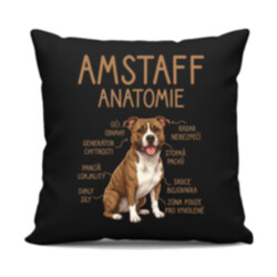 Amstaff – anatomie - černý polštář s potiskem