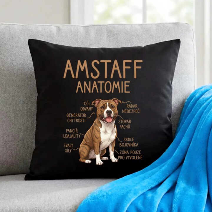 Amstaff – anatomie - černý polštář s potiskem