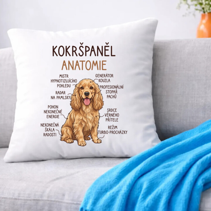 Cocker Spaniel anatomia - polštář s potiskem