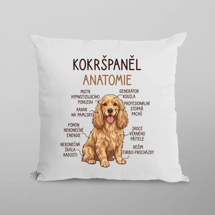 Cocker Spaniel anatomia - polštář s potiskem