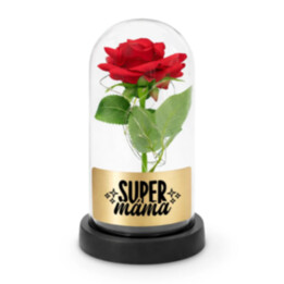 Super máma - věčná růže pod skleněným poklopem s gravírováním