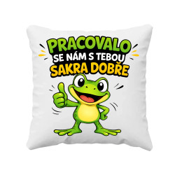 Pracovalo se nám s tebou sakra dobře - polštář s potiskem