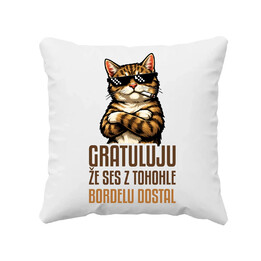 Gratuluju, že ses z tohohle bordelu dostal - polštář s potiskem