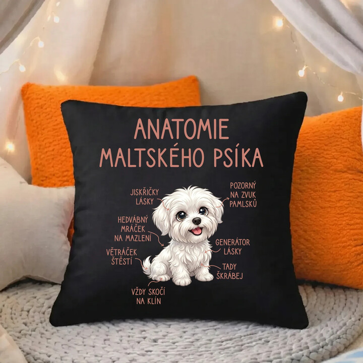 Anatomie maltského psíka - černý polštář s potiskem
