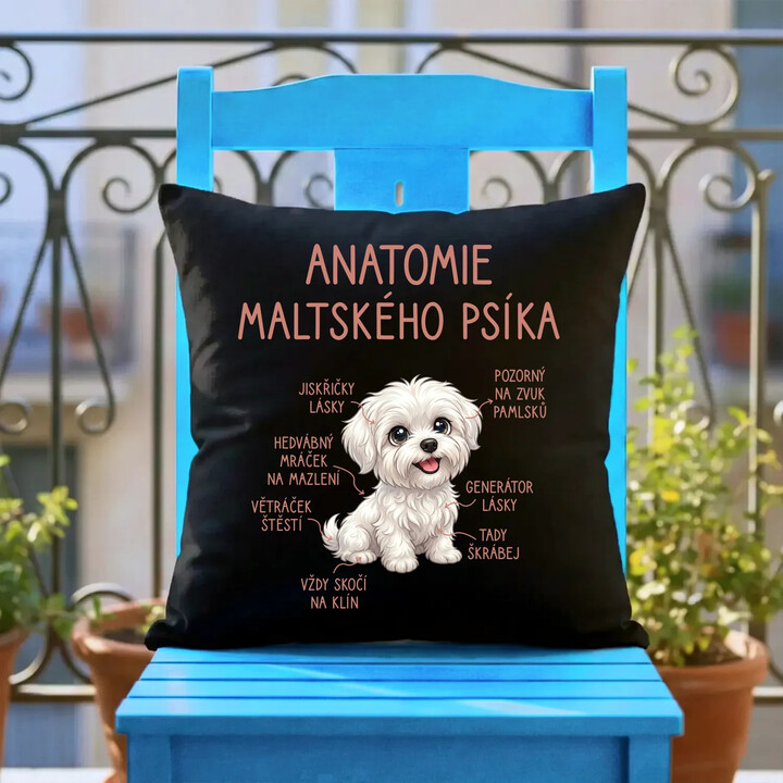 Anatomie maltského psíka - černý polštář s potiskem