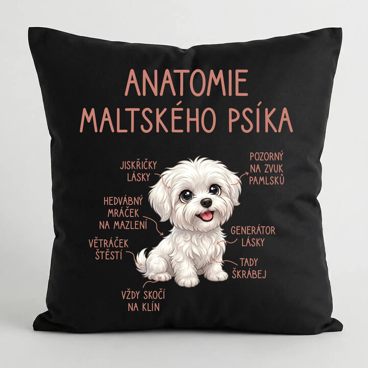 Anatomie maltského psíka - černý polštář s potiskem