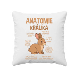 Anatomie králíka - polštář s potiskem