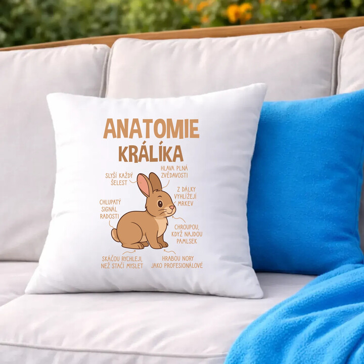 Anatomie králíka - polštář s potiskem