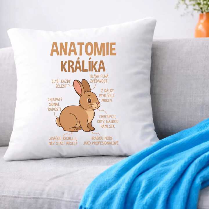 Anatomie králíka - polštář s potiskem