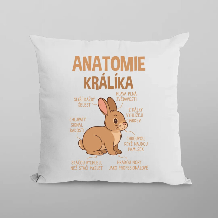 Anatomie králíka - polštář s potiskem