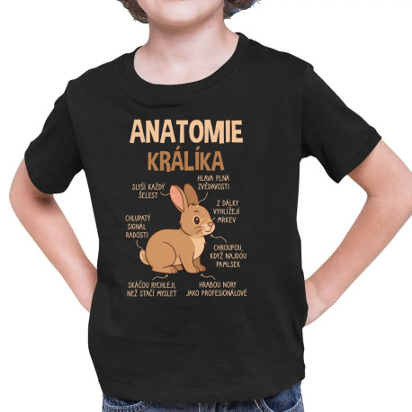 Anatomie králíka - dětské tričko s potiskem