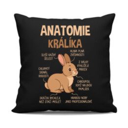 Anatomie králíka - černý polštář s potiskem