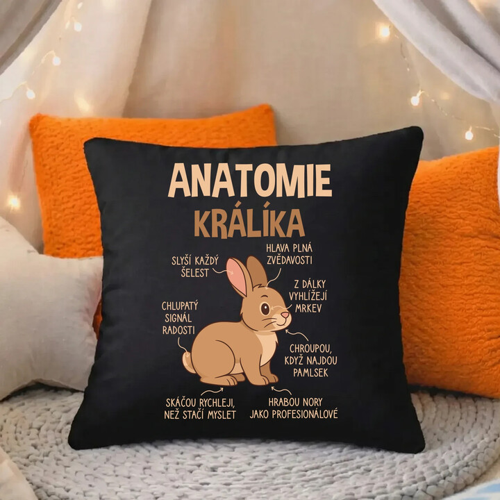 Anatomie králíka - černý polštář s potiskem