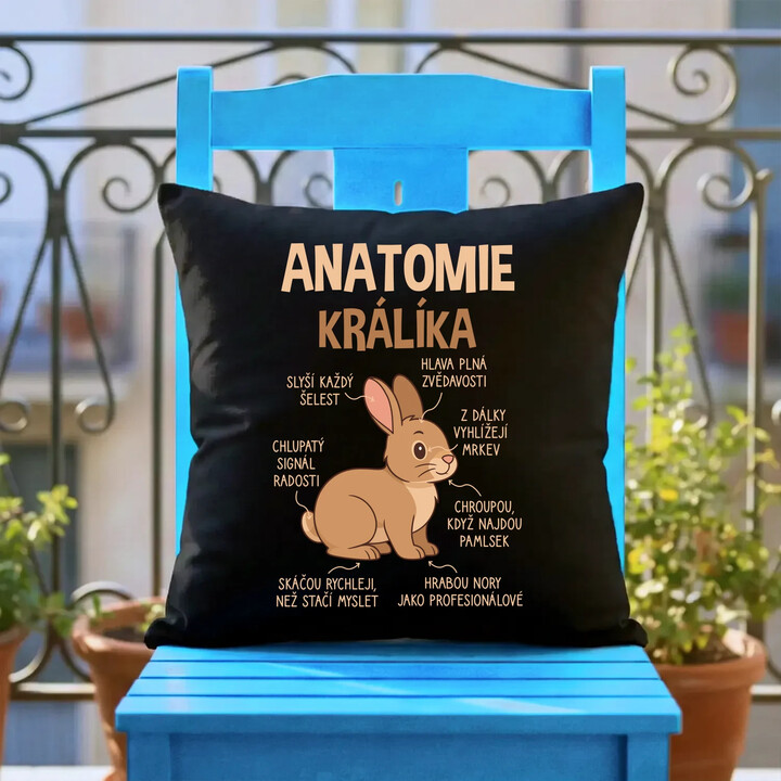 Anatomie králíka - černý polštář s potiskem