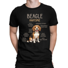 Beagle – anatomie - pánské tričko s potiskem