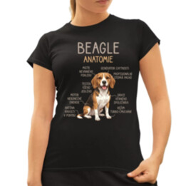 Beagle – anatomie  - dámské tričko s potiskem